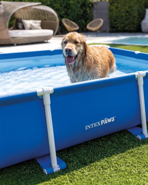 Intex Rectangular Frame Pet Pool Set With Filter