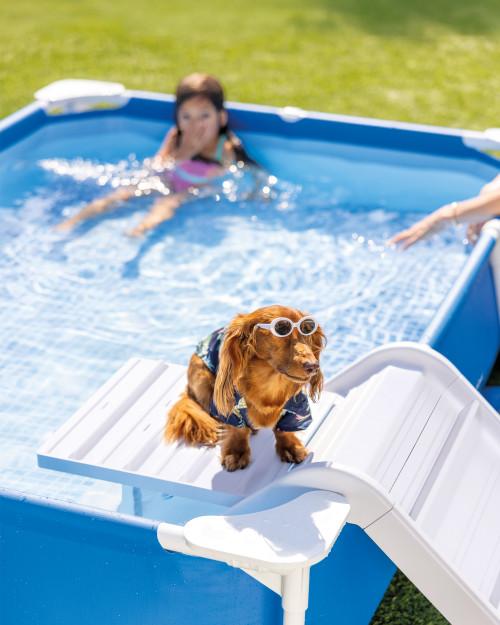 intex Rectangular Frame Pet Pool Set with Filter