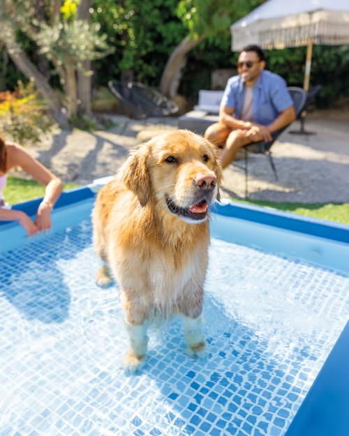 Intex Square Frame Pet Pool Set With Filter