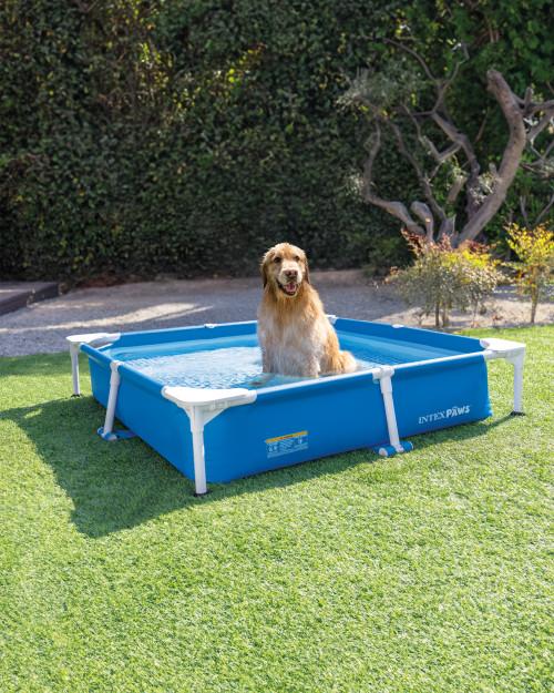 intex Square Frame Pet Pool Set with Filter