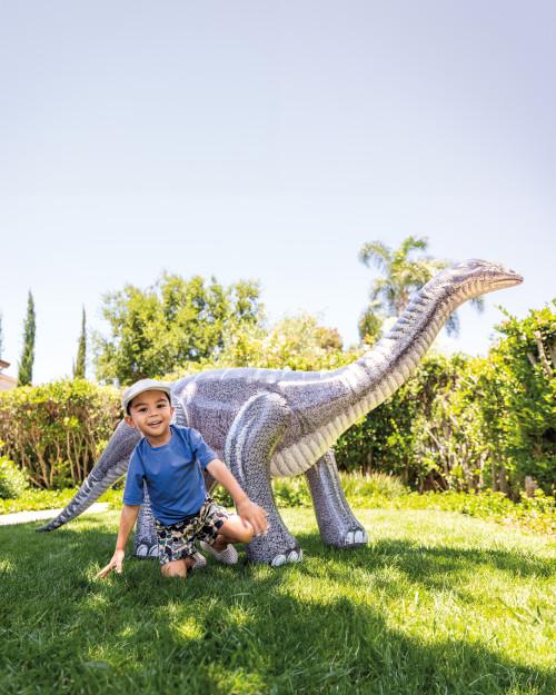 Intex Jurassic Dino Pals - Brontosaurus And Triceratops Assorted