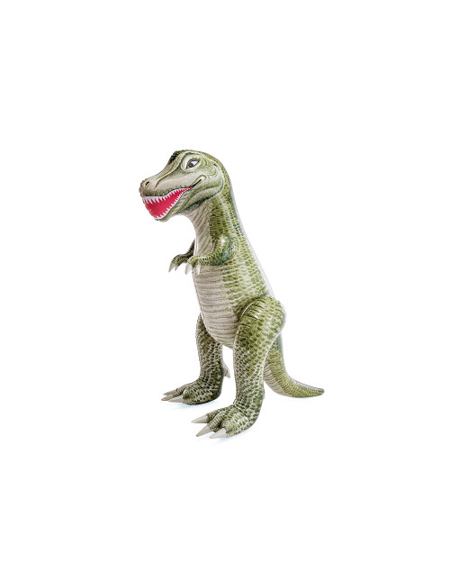 Intex Jurassic Dino Pals - Tyrannosaurus Rex And Stegosaurus Assorted