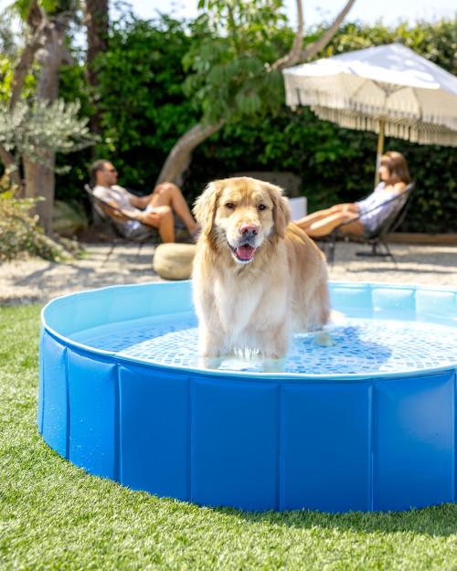 intex Portable Foldable Pet Swimming Pool - 60" x 12" [DxH]