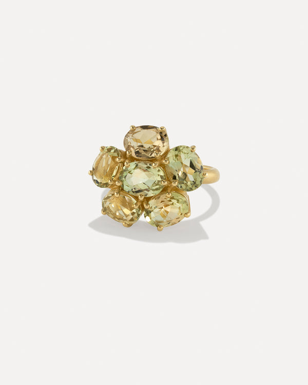 irene neuwirth One of a Kind Gemmy Gem Floret Ring 18k Yellow Gold irene neuwirth One of a Kind Gemmy Gem Floret Ring 18k Yellow Gold