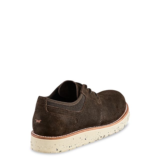 irish setter Setter Fifty® Men's Oxford