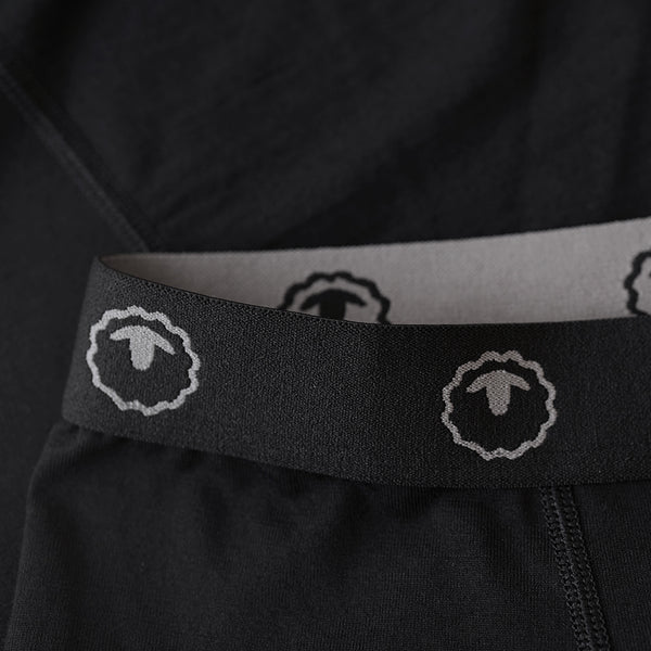 Isobaa Mens 260 Merino Active Tights (Black)