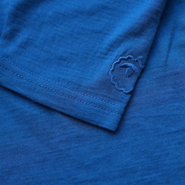 Isobaa Mens Merino 200 Tights (Blue)