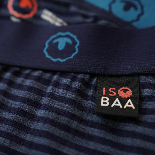 isobaa Mens Merino 200 Tights (Navy/Denim)