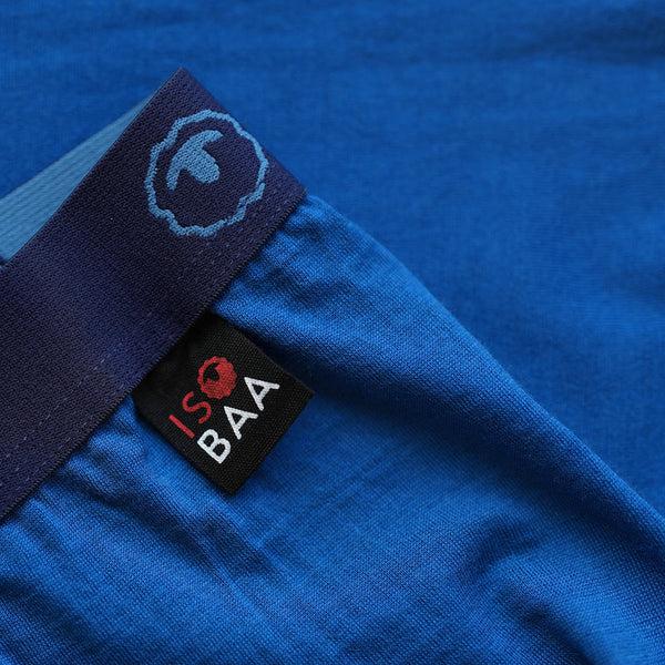 Isobaa Womens Merino 200 Tights (Blue)