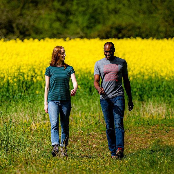 isobaa Womens Merino 150 Roll Sleeve Tee (Mini Stripe Navy/Green)