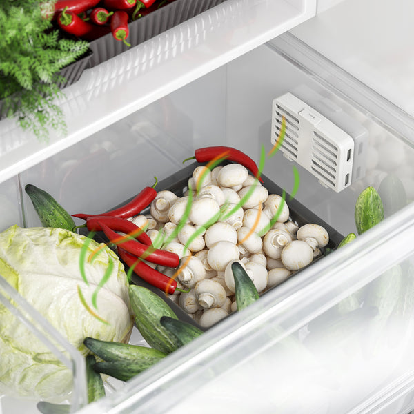 Itouchless AbsorbX Stick On Odor Removal Kit (White) - 2-Pack