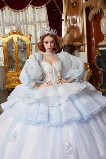 ivory rose Perfect Dress 15 AG350