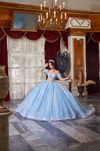 Ivory Rose Perfect Dress 15 AG351