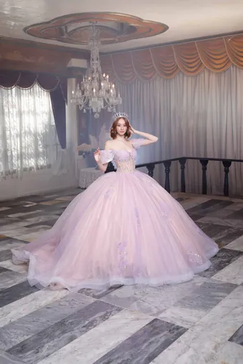 Ivory Rose Perfect Dress 15 AG351