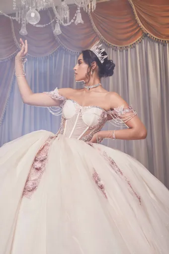 Ivory Rose Perfect Dress 15 AG352