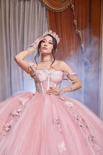 ivory rose Perfect Dress 15 AG352