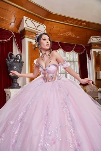 Ivory Rose Perfect Dress 15 AG353