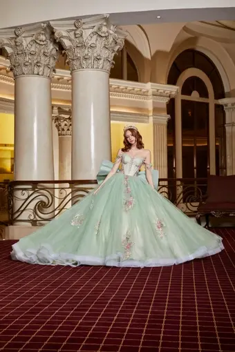 ivory rose Perfect Dress 15 AG360