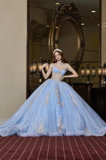 Ivory Rose Perfect Dress 15 AG363