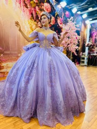 Ivory Rose Perfect Dress 15 AG376