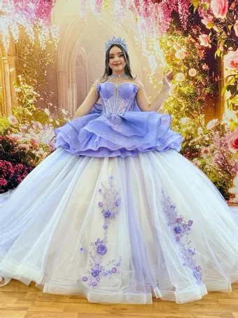 Ivory Rose Perfect Dress 15 AG378