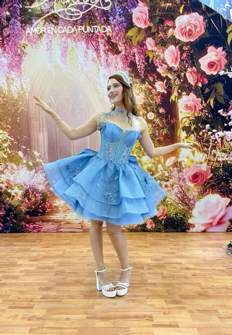 Ivory Rose Perfect Dress 15 AG378