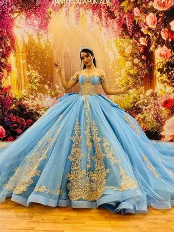 Ivory Rose Perfect Dress 15 AG379