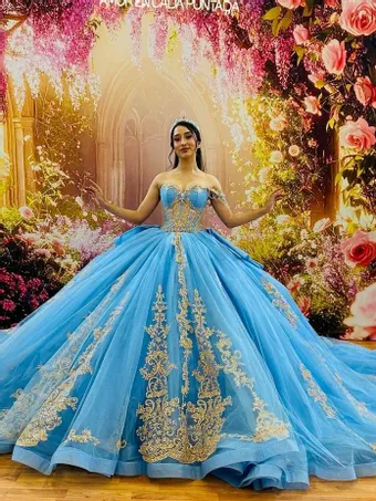 Ivory Rose Perfect Dress 15 AG379