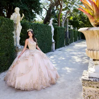 Ivory Rose Princesa By Ariana Vara PR30118
