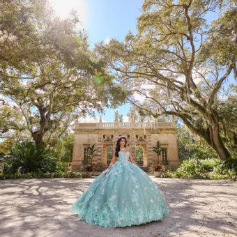 Ivory Rose Princesa By Ariana Vara PR30133