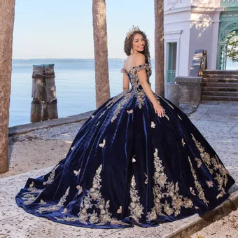 Ivory Rose Princesa By Ariana Vara PR30136