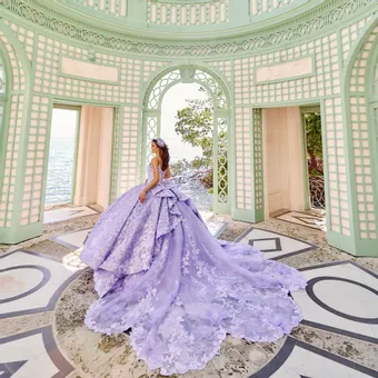 Ivory Rose Princesa By Ariana Vara PR30139