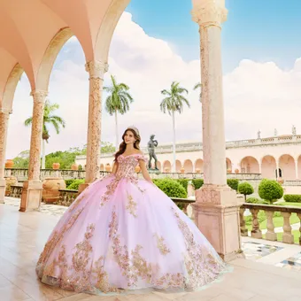 Ivory Rose Princesa By Ariana Vara PR30152