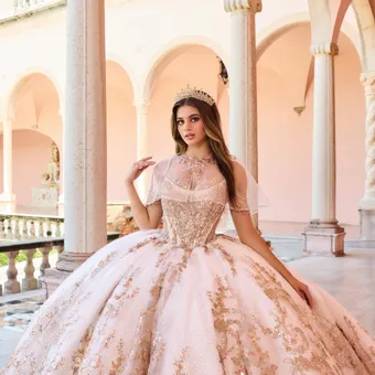 Ivory Rose Princesa By Ariana Vara PR30153