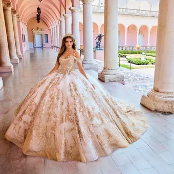 ivory rose Princesa by Ariana Vara PR30153