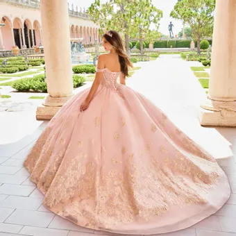 Ivory Rose Princesa By Ariana Vara PR30154