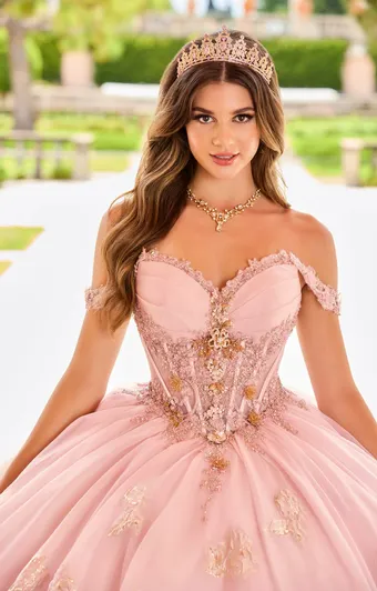 Ivory Rose Princesa By Ariana Vara PR30154