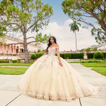 Ivory Rose Princesa By Ariana Vara PR30155