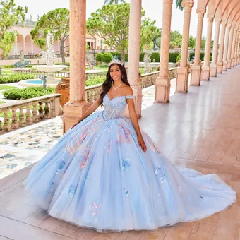 Ivory Rose Princesa By Ariana Vara PR30156