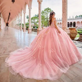 Ivory Rose Princesa By Ariana Vara PR30156
