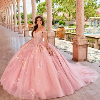ivory rose Princesa by Ariana Vara PR30156