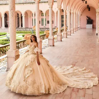 Ivory Rose Princesa By Ariana Vara PR30161