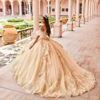Ivory Rose Princesa By Ariana Vara PR30161