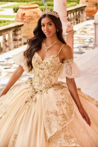 Ivory Rose Princesa By Ariana Vara PR30161