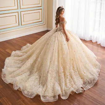 Ivory Rose Princesa By Ariana Vara PR30177