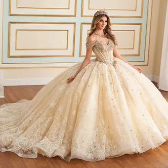 ivory rose Princesa by Ariana Vara PR30177