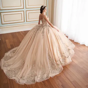 Ivory Rose Princesa By Ariana Vara PR30182