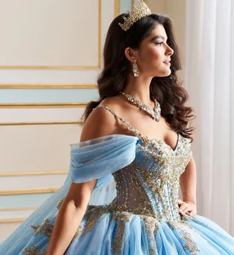 Ivory Rose Princesa By Ariana Vara PR30192