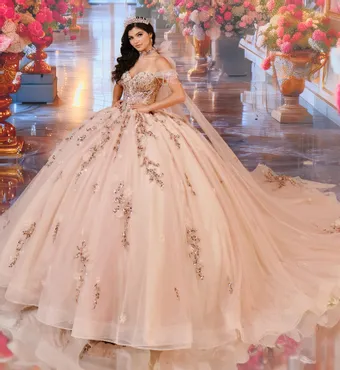 Ivory Rose Princesa By Ariana Vara PR30194