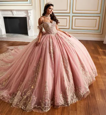 Ivory Rose Princesa By Ariana Vara PR30198